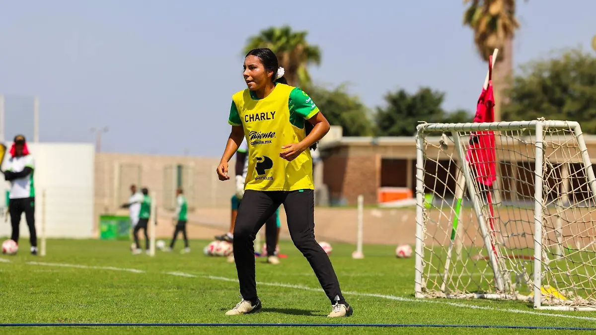 Santos Femenil